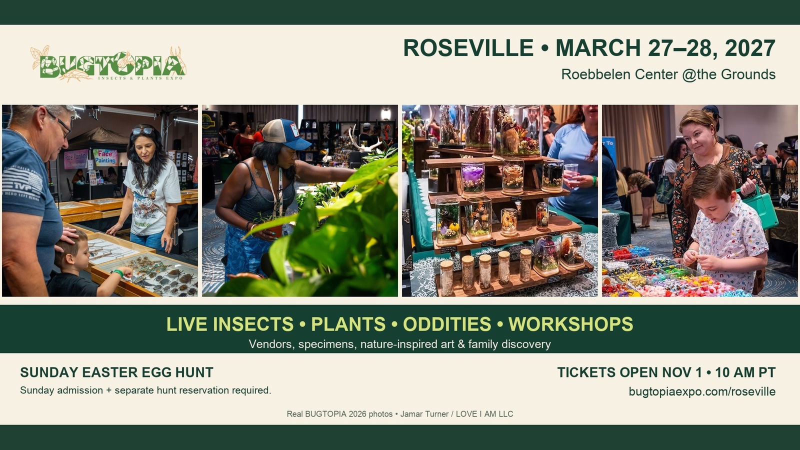 BUGTOPIA Roseville 2027 – Saturday: Insects, Plants & Oddities
